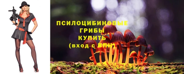 спайс Лабытнанги