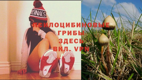 трава Краснослободск