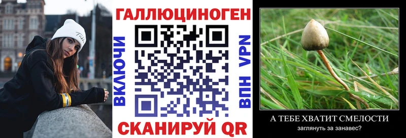 ссылка на мегу tor  купить  сайты  Лесосибирск  Псилоцибиновые грибы Magic Shrooms 